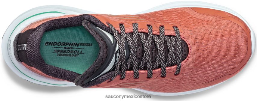 Saucony cambio de endorfinas 3 mujer hollín/basalto P4B2Z0634