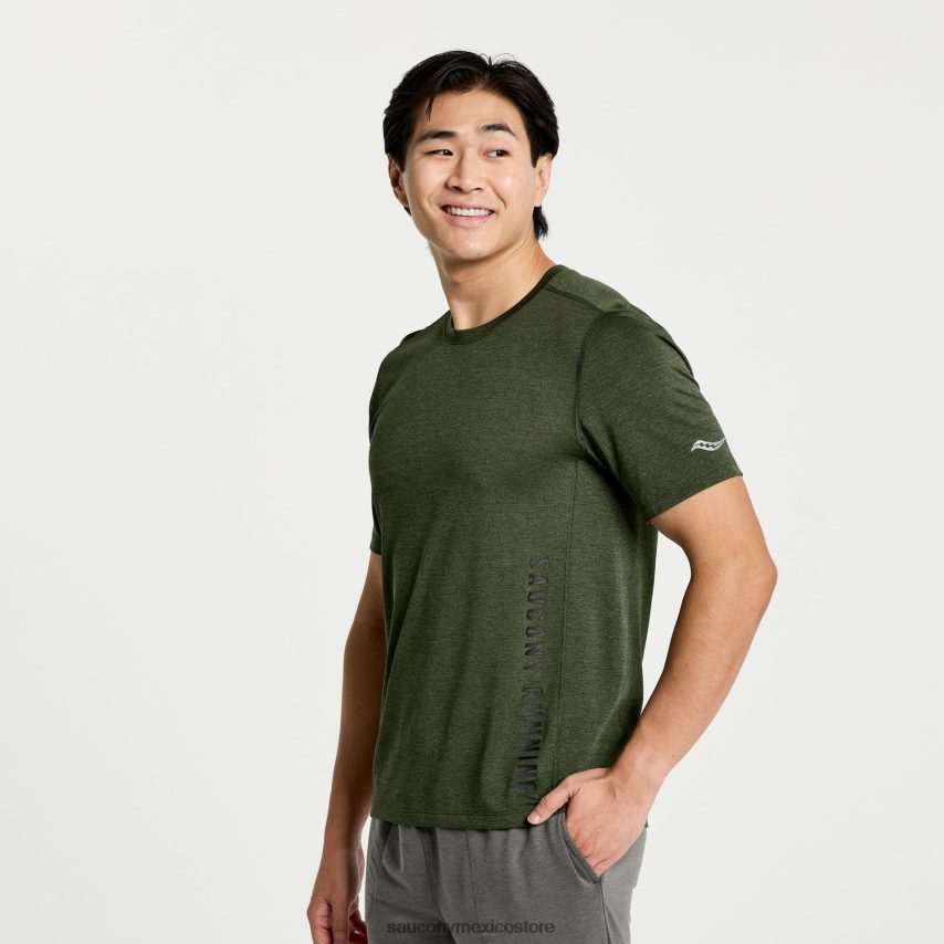 gráfico de brezo de hiedra trepadora