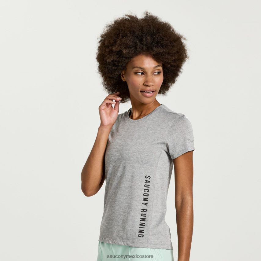 gráfico de brezo gris claro