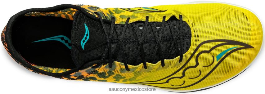 Saucony guepardo endorfina mujer negro/visi P4B2Z0600