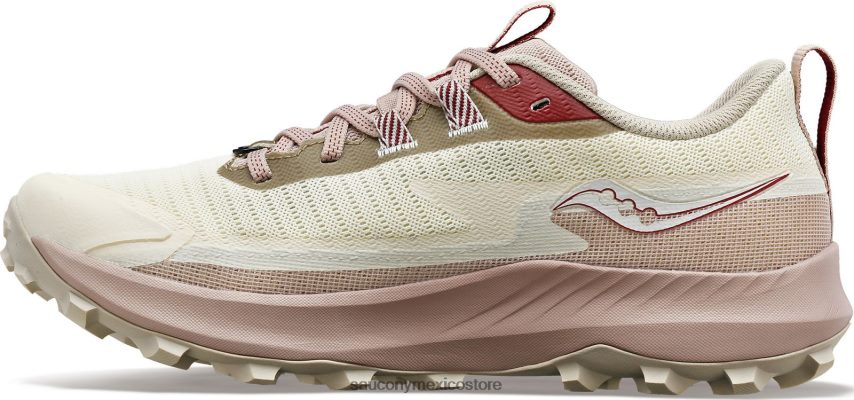 Saucony peregrino 13 gtx mujer resplandor/humo P4B2Z0621