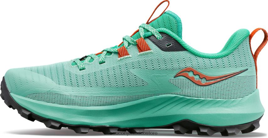 Saucony peregrino 13 mujer ramita/pabellón P4B2Z0544