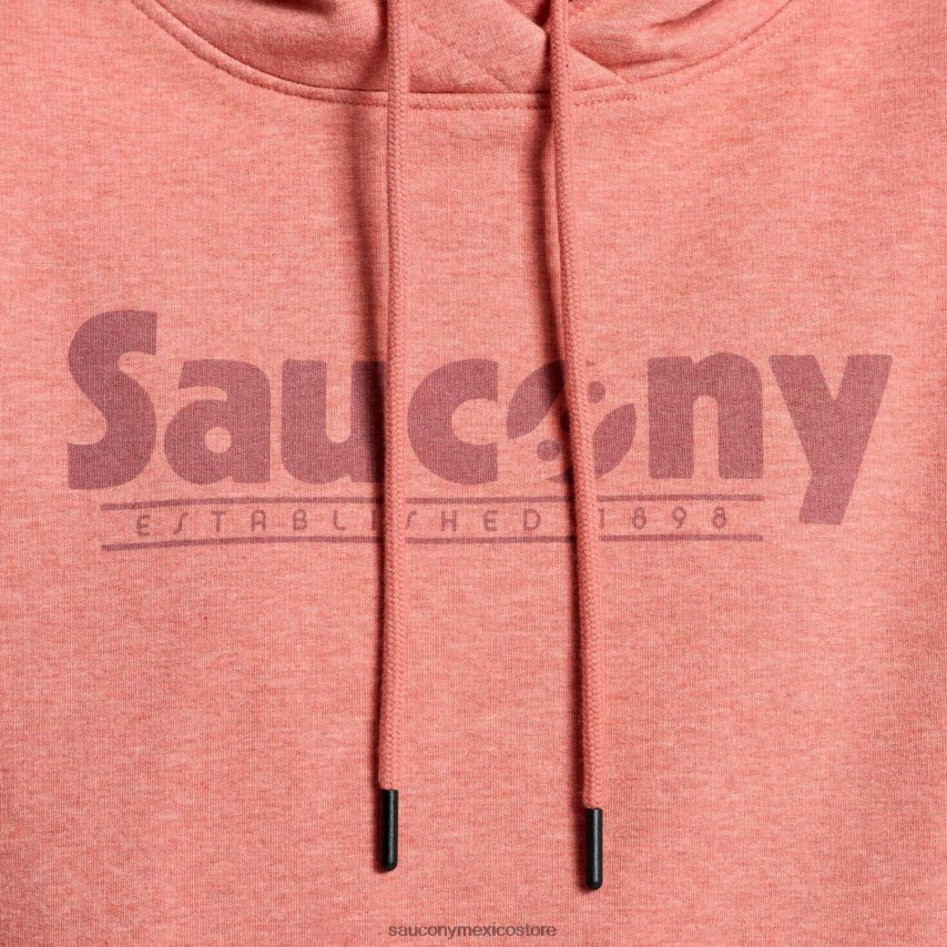 Saucony sudadera con capucha descansada mujer gráfico de hollín brezo P4B2Z0793
