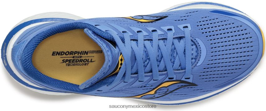 Saucony velocidad de endorfinas 3 mujer horizonte/oro P4B2Z0517