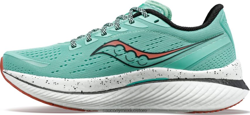 Saucony velocidad de endorfinas 3 mujer ramita/negro P4B2Z0513