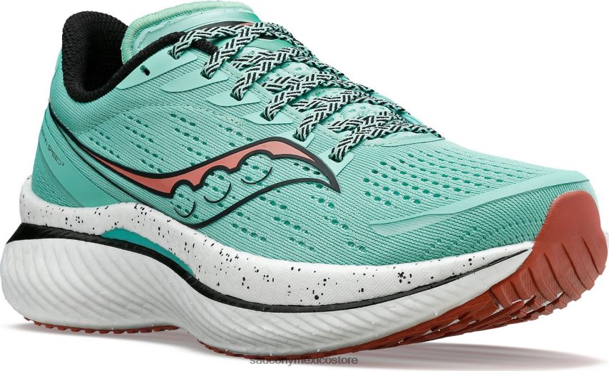 Saucony velocidad de endorfinas 3 mujer ramita/negro P4B2Z0513