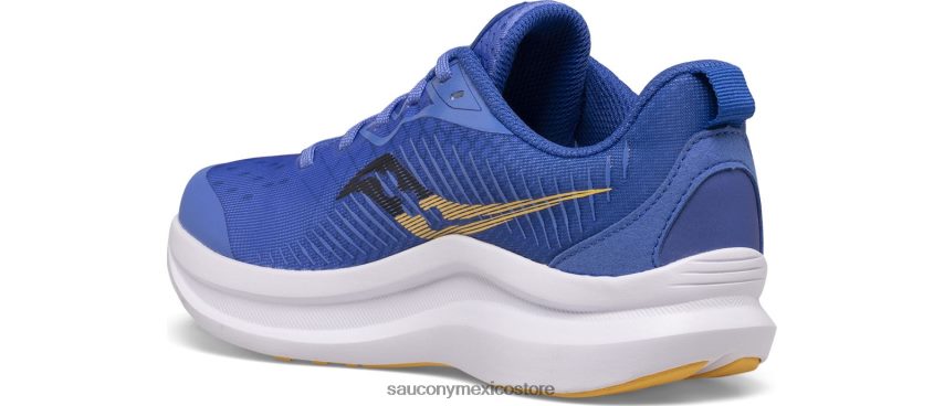 Saucony zapatillas endorphin kdz niños horizonte/oro P4B2Z0887